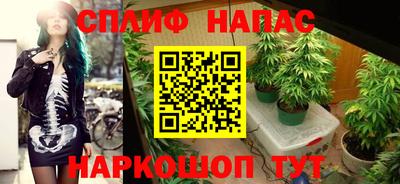 мет Дубна