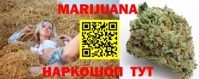 мет Дубна